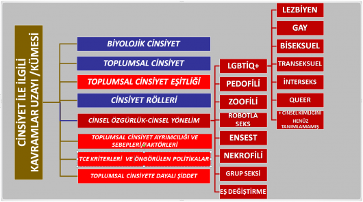 BİR İFSÂD HAREKETİ OLARAK TOPLUMSAL CİNSİYET EŞİTLİĞİ PROJESİ-4