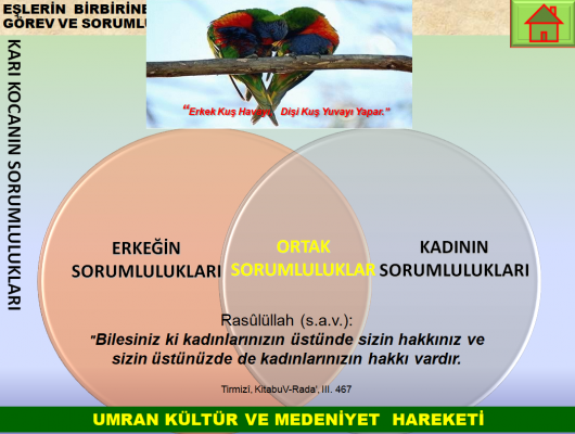 2011 İstanbul Sözleşmesi ve Toplumsal Cinsiyet Eşitliği projeleri ile 6284 sayılı kanun 1-6 Bölüm