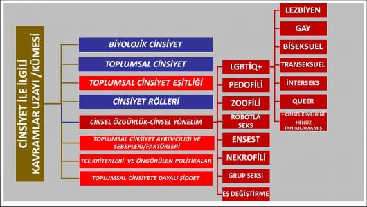 2011 İstanbul Sözleşmesi ve Toplumsal Cinsiyet Eşitliği projeleri ile 6284 sayılı kanun 2 BÖLÜM