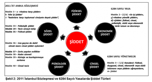 2011 İstanbul Sözleşmesi ve Toplumsal Cinsiyet Eşitliği projeleri ile 6284 sayılı kanun 5. BÖLÜM