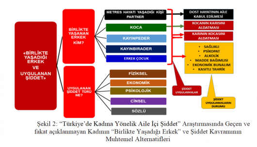 2011 İstanbul Sözleşmesi ve Toplumsal Cinsiyet Eşitliği projeleri ile 6284 sayılı kanun 6. BÖLÜM