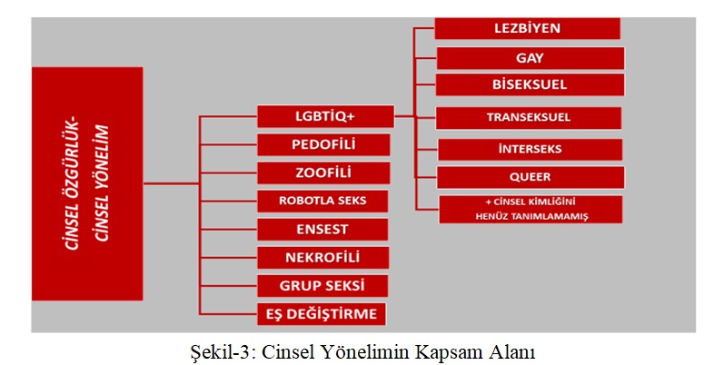 Bir İfsad Hareketi Olarak Toplumsal Cinsiyet Eşitliği Projesi-7