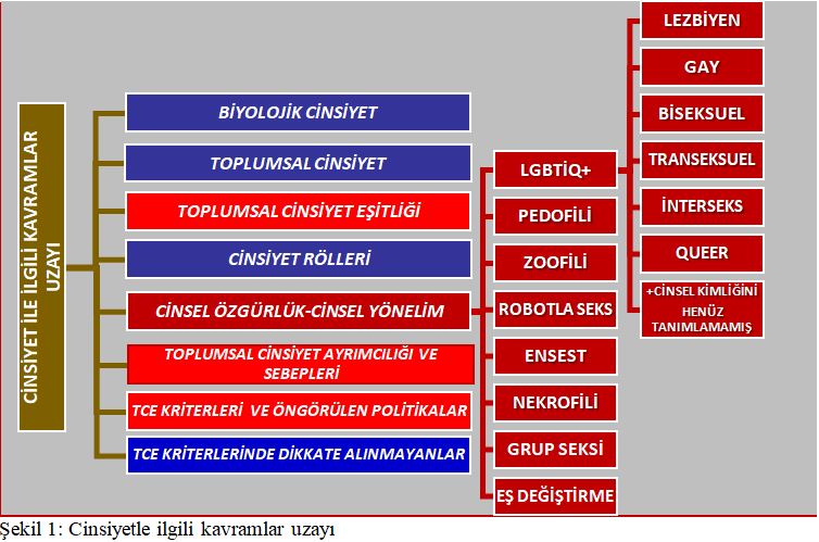 Bir İfsad Hareketi Olarak Toplumsal Cinsiyet Eşitliği Projesi-2