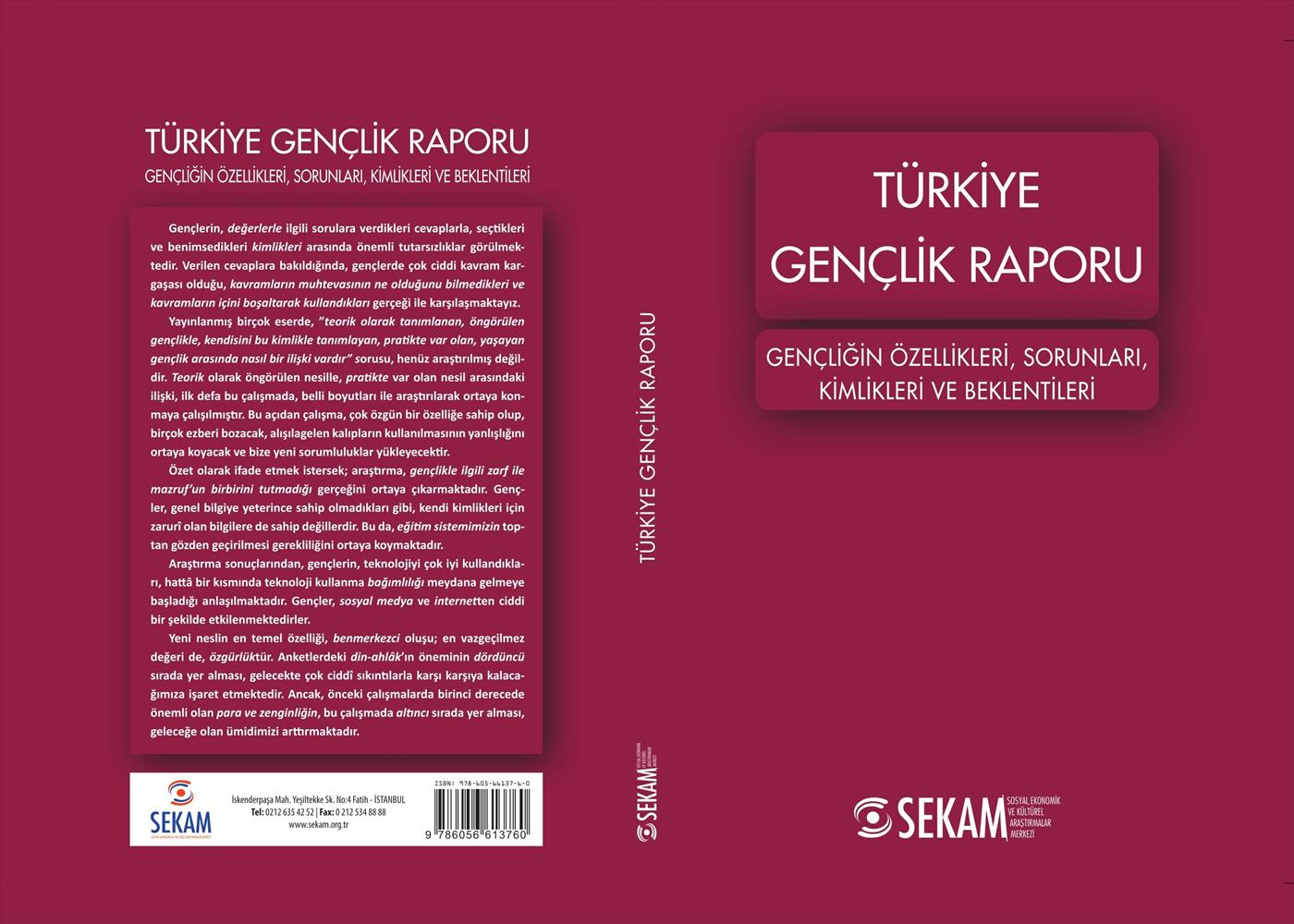 TÜRKİYE GENÇLİK RAPORU / ÖZET