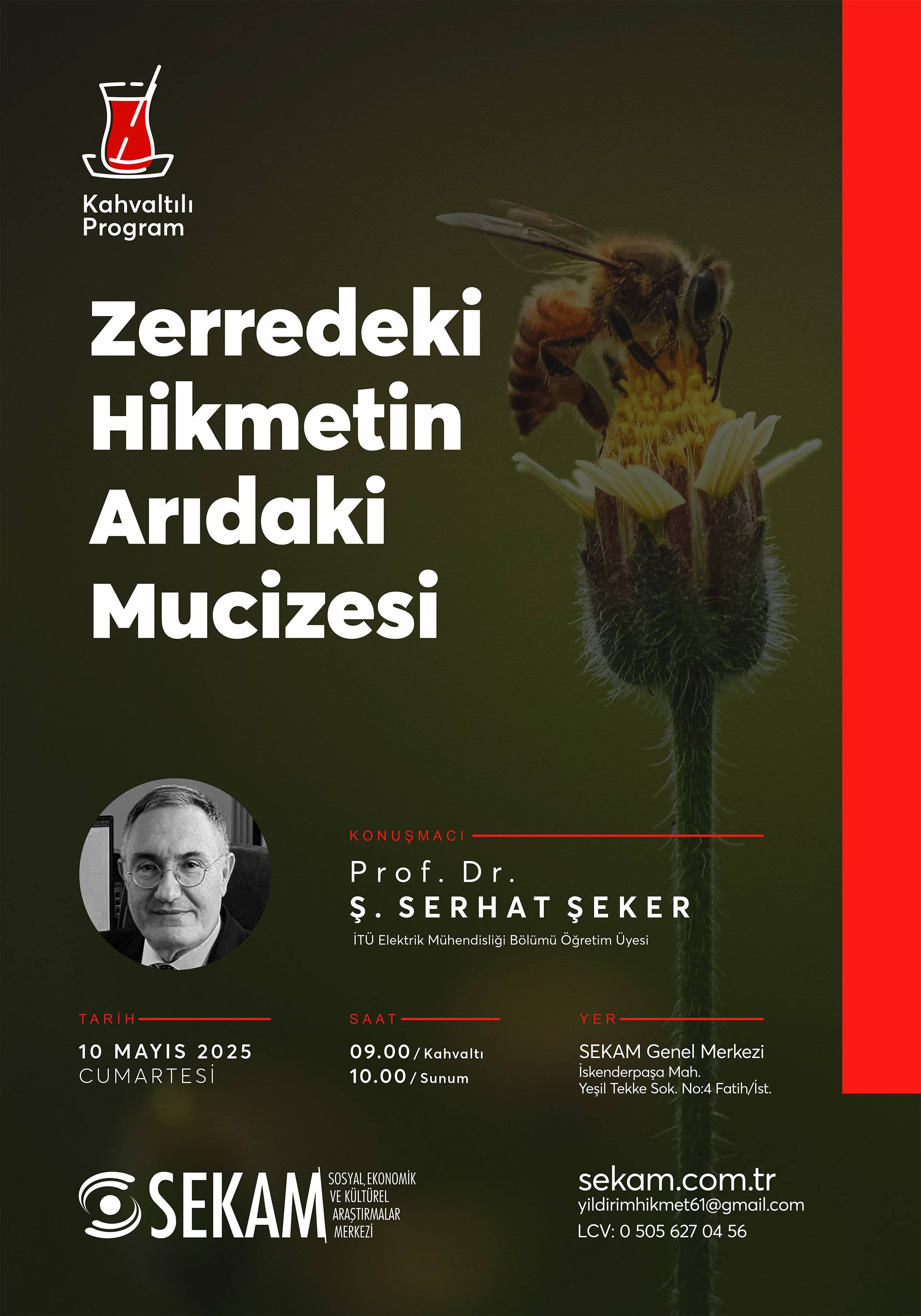 Zerredeki Hikmetin Arıdaki Mucizesi